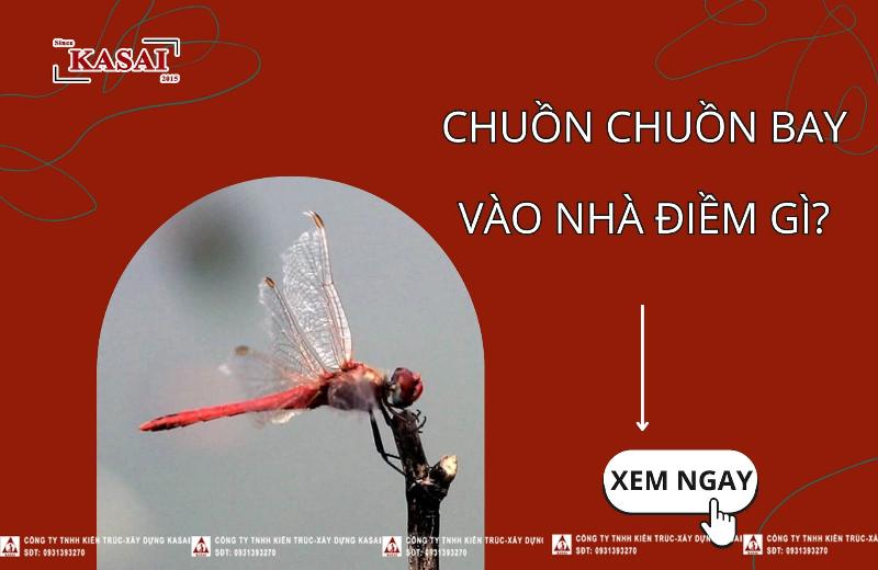 Ý nghĩa phong thủy của chuồn chuồn đậu trên tay và sự may mắn trong cuộc sống